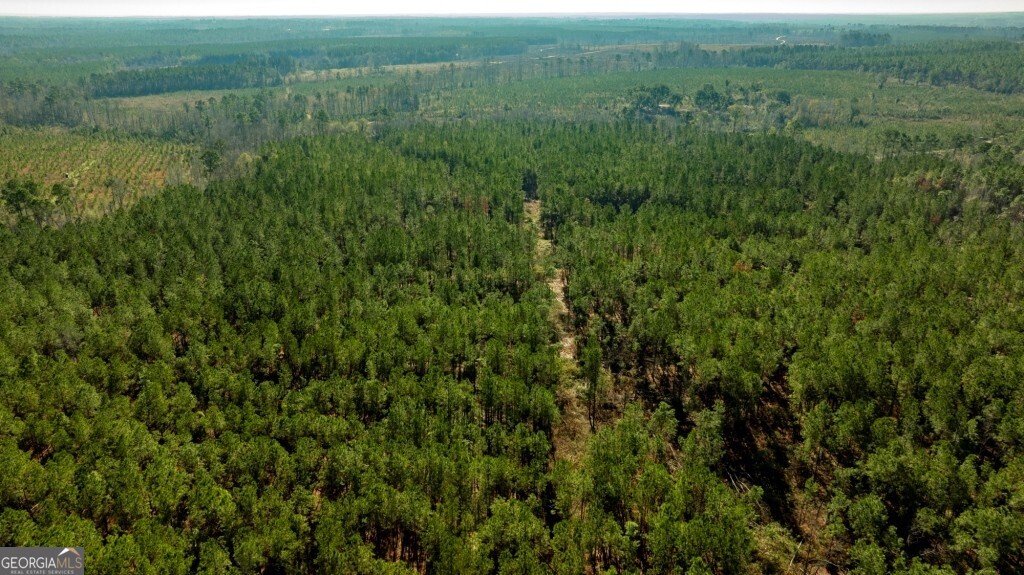 0 South Highway 19 & Warm Spring Road Glenwood, GA 30428 - Photo 18 of 34