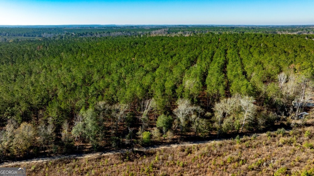 0 South Highway 19 & Warm Spring Road Glenwood, GA 30428 - Photo 20 of 34