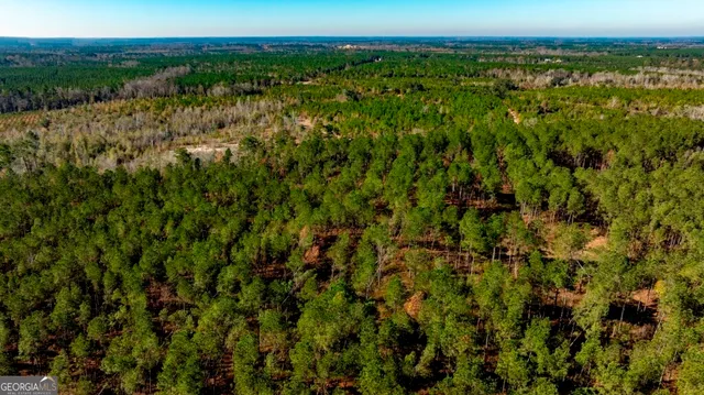 $1,548,000 | 0 South Highway 19 & Warm Spring Road, Glenwood, GA 30428