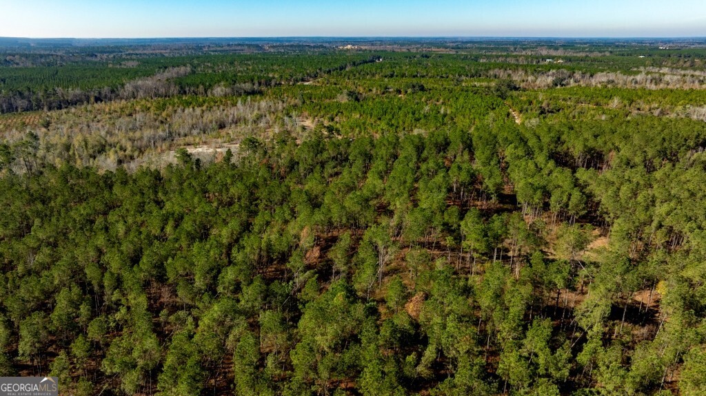 0 South Highway 19 & Warm Spring Road Glenwood, GA 30428 - Photo 2 of 34