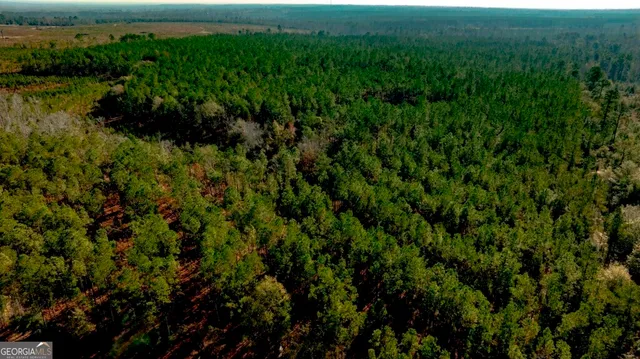 $1,548,000 | 0 South Highway 19 & Warm Spring Road, Glenwood, GA 30428