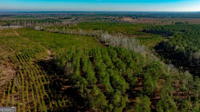 $1,548,000 | 0 South Highway 19 & Warm Spring Road, Glenwood, GA 30428