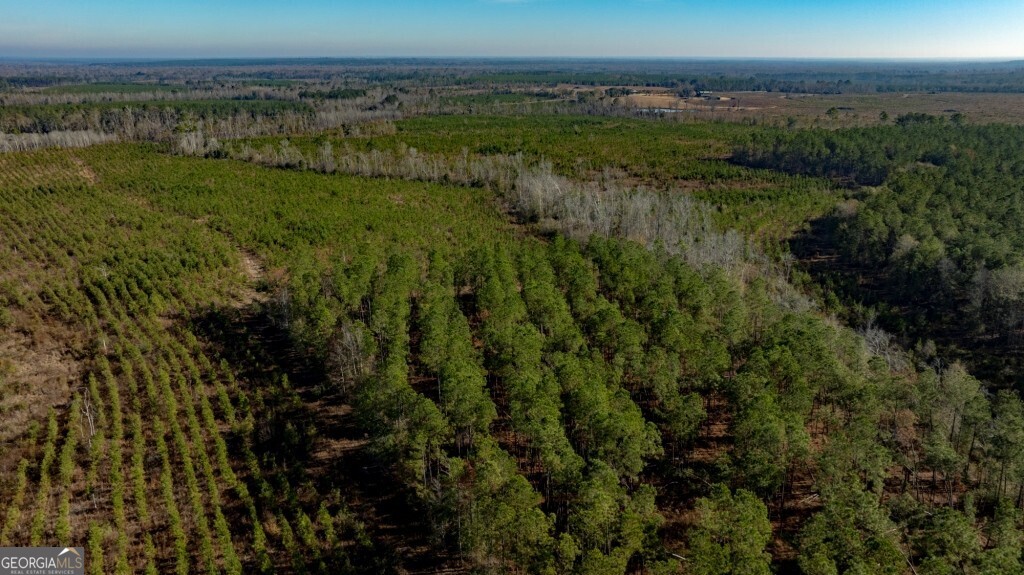 0 South Highway 19 & Warm Spring Road Glenwood, GA 30428 - Photo 22 of 34