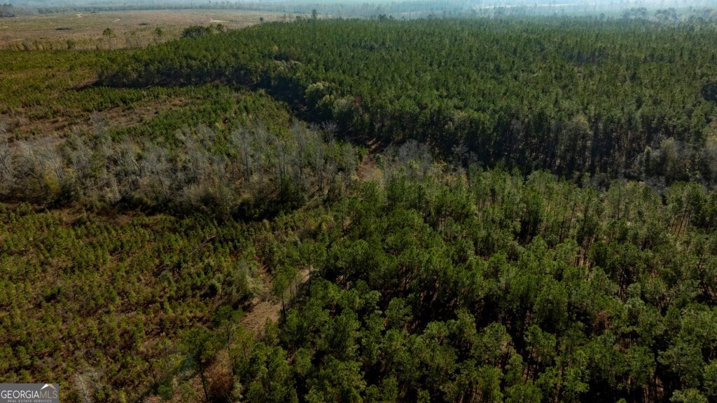 0 South Highway 19 & Warm Spring Road Glenwood, GA 30428 - Photo 23 of 34