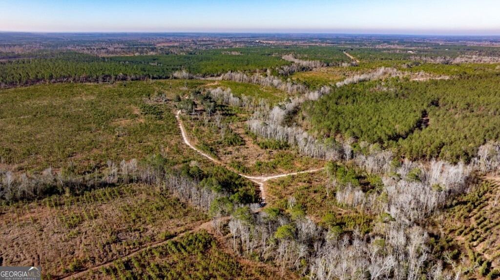 0 South Highway 19 & Warm Spring Road Glenwood, GA 30428 - Photo 24 of 34