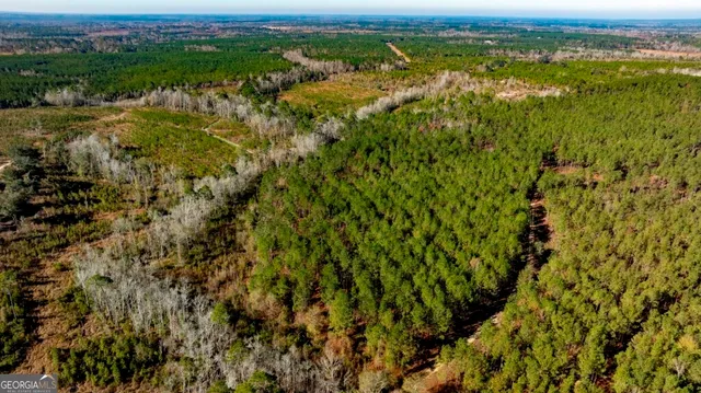 $1,548,000 | 0 South Highway 19 & Warm Spring Road, Glenwood, GA 30428