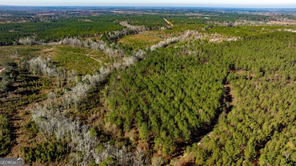 0 South Highway 19 & Warm Spring Road Glenwood, GA 30428 - Photo 25 of 34