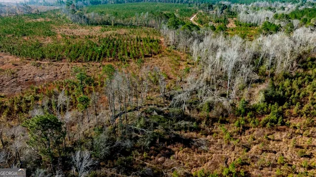 $1,548,000 | 0 South Highway 19 & Warm Spring Road, Glenwood, GA 30428