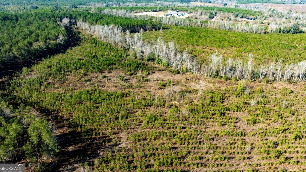 0 South Highway 19 & Warm Spring Road Glenwood, GA 30428 - Photo 27 of 34