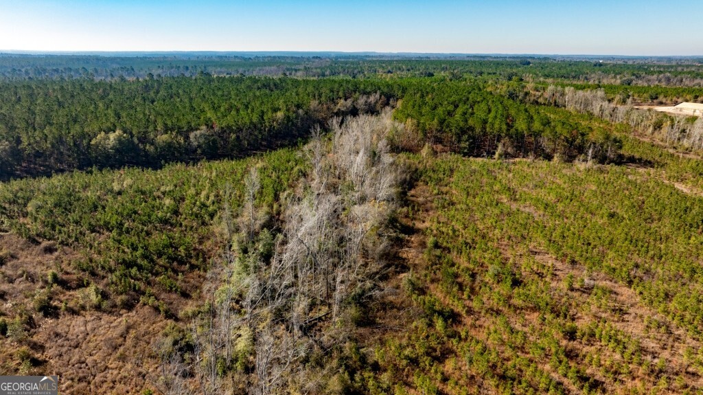 0 South Highway 19 & Warm Spring Road Glenwood, GA 30428 - Photo 28 of 34