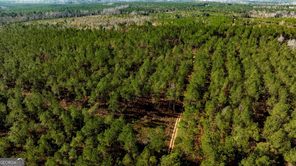 0 South Highway 19 & Warm Spring Road Glenwood, GA 30428 - Photo 30 of 34