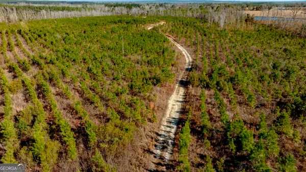 a view of a small yard