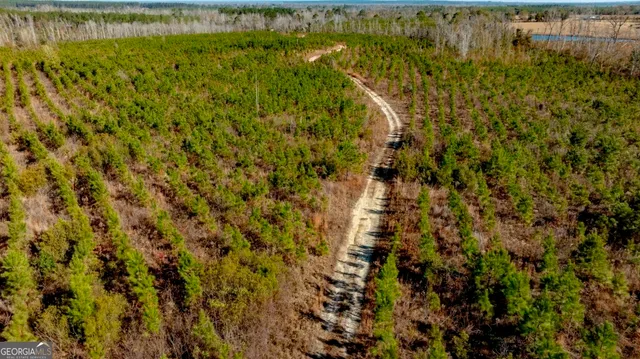 $1,548,000 | 0 South Highway 19 & Warm Spring Road, Glenwood, GA 30428