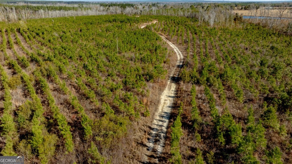 0 South Highway 19 & Warm Spring Road Glenwood, GA 30428 - Photo 3 of 34