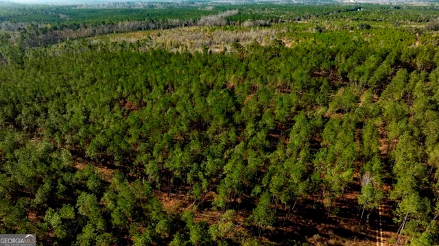 $1,548,000 | 0 South Highway 19 & Warm Spring Road, Glenwood, GA 30428