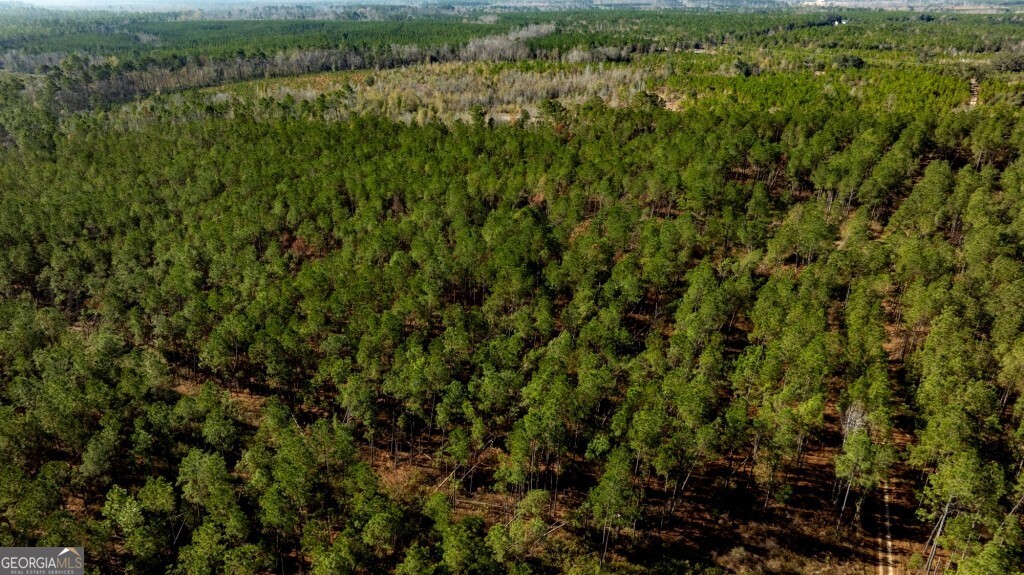 0 South Highway 19 & Warm Spring Road Glenwood, GA 30428 - Photo 31 of 34