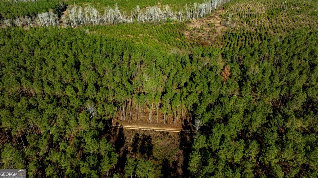 0 South Highway 19 & Warm Spring Road Glenwood, GA 30428 - Photo 32 of 34