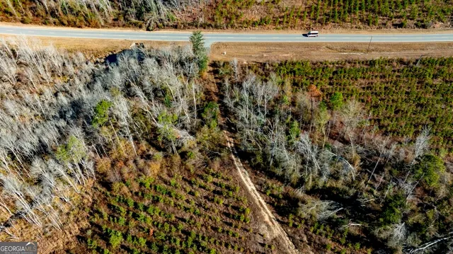 $1,548,000 | 0 South Highway 19 & Warm Spring Road, Glenwood, GA 30428