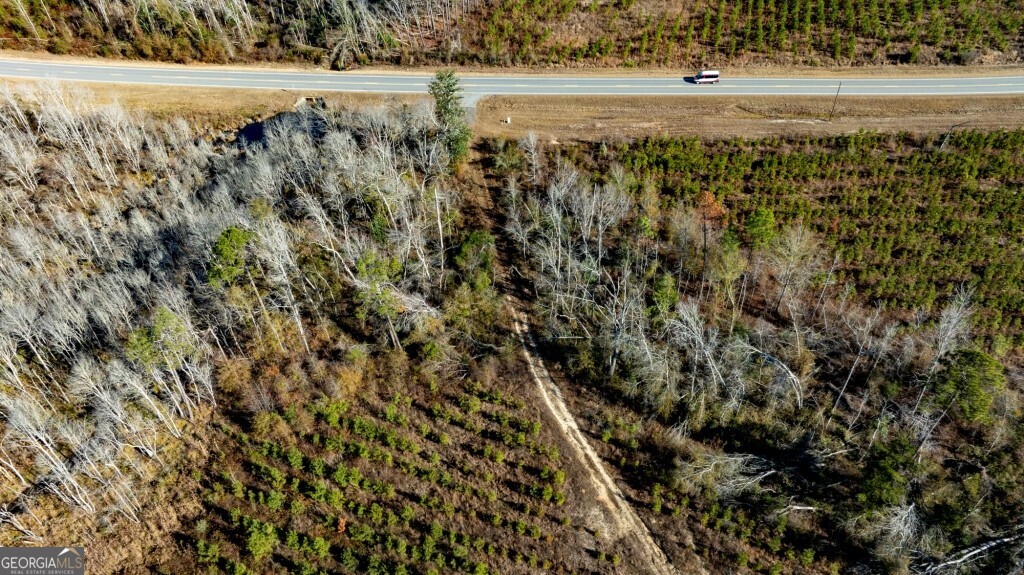 0 South Highway 19 & Warm Spring Road Glenwood, GA 30428 - Photo 33 of 34