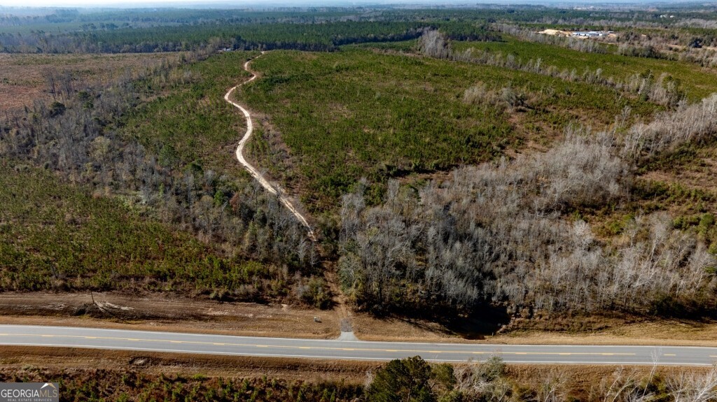 0 South Highway 19 & Warm Spring Road Glenwood, GA 30428 - Photo 34 of 34