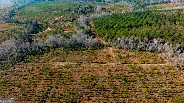 $1,548,000 | 0 South Highway 19 & Warm Spring Road, Glenwood, GA 30428