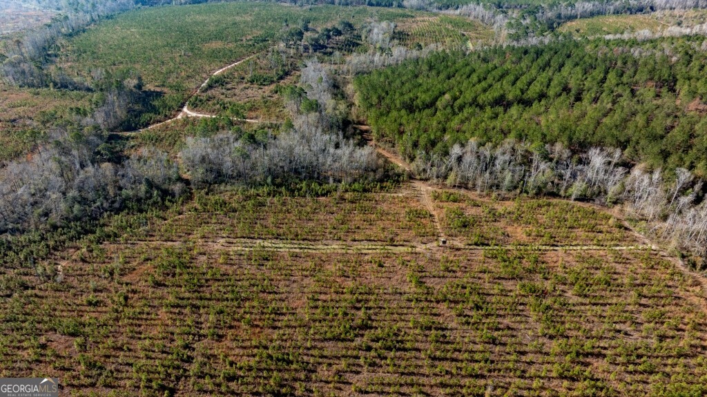 0 South Highway 19 & Warm Spring Road Glenwood, GA 30428 - Photo 4 of 34