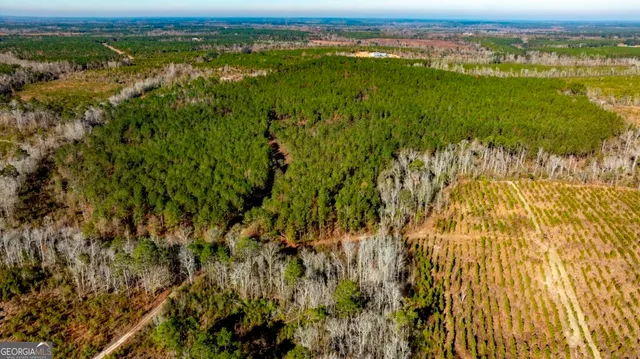 $1,548,000 | 0 South Highway 19 & Warm Spring Road, Glenwood, GA 30428