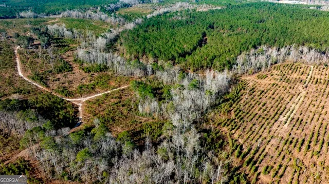 $1,548,000 | 0 South Highway 19 & Warm Spring Road, Glenwood, GA 30428