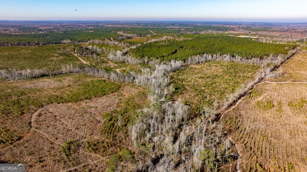 0 South Highway 19 & Warm Spring Road Glenwood, GA 30428 - Photo 7 of 34