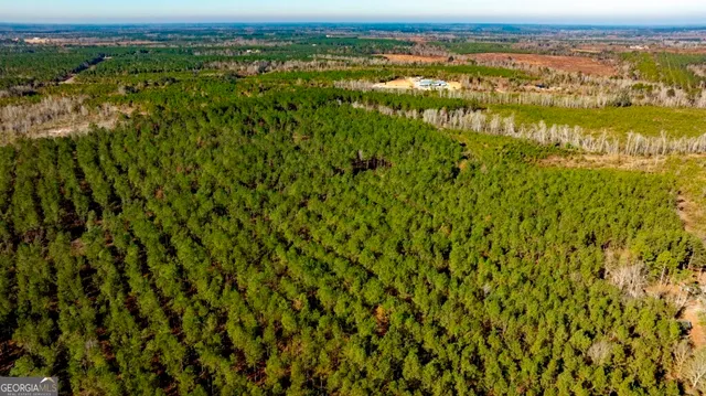 $1,548,000 | 0 South Highway 19 & Warm Spring Road, Glenwood, GA 30428