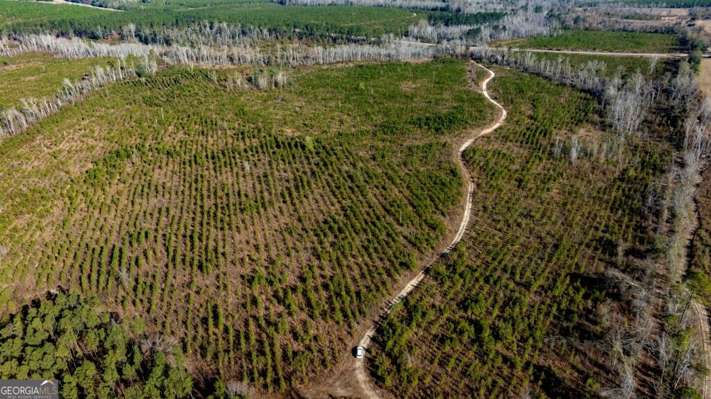 0 South Highway 19 & Warm Spring Road Glenwood, GA 30428 - Photo 9 of 34