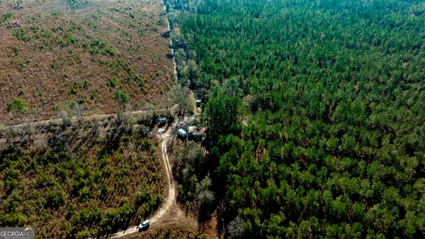 a view of a lush green forest