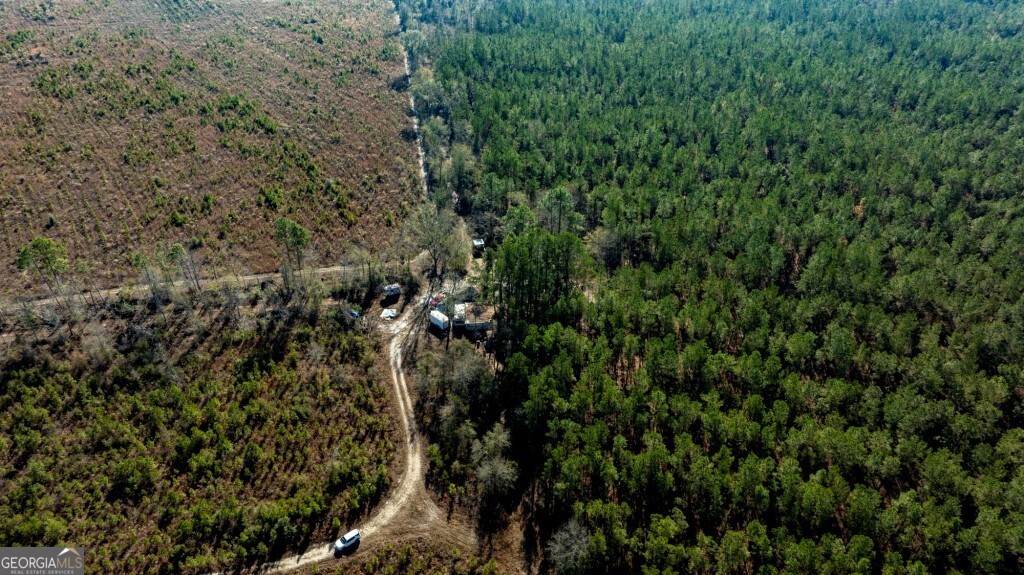 0 South Highway 19 & Warm Spring Road Glenwood, GA 30428 - Photo 10 of 34