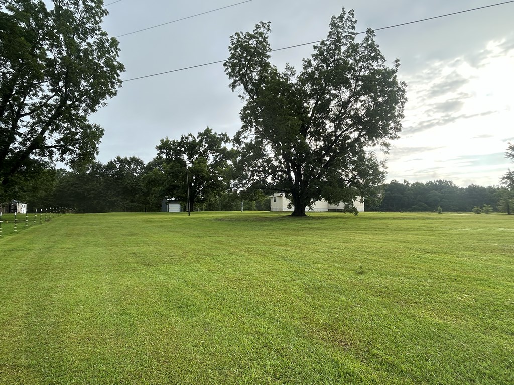 475 Gary Road Slocomb, AL 36375 - Photo 29 of 59