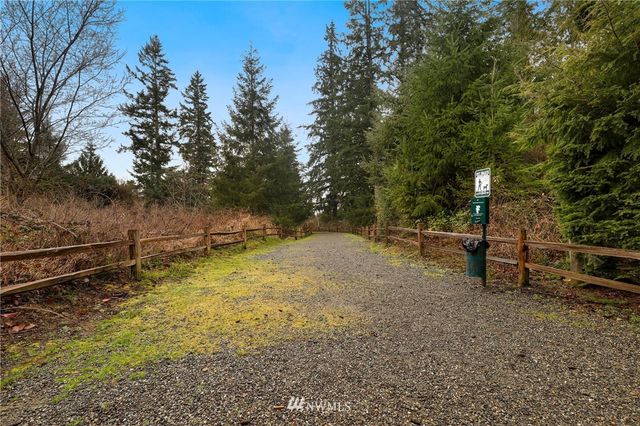 a view of a park with large trees