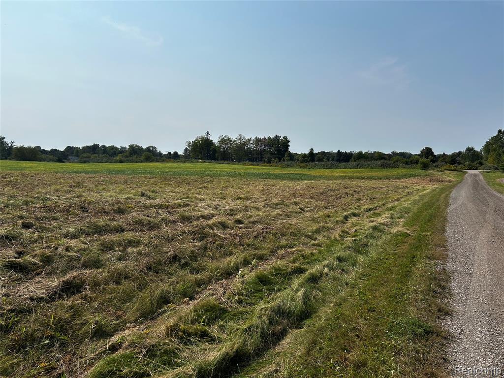 Parcel N North Hacker Road Howell, MI 48843 - Photo 5 of 13