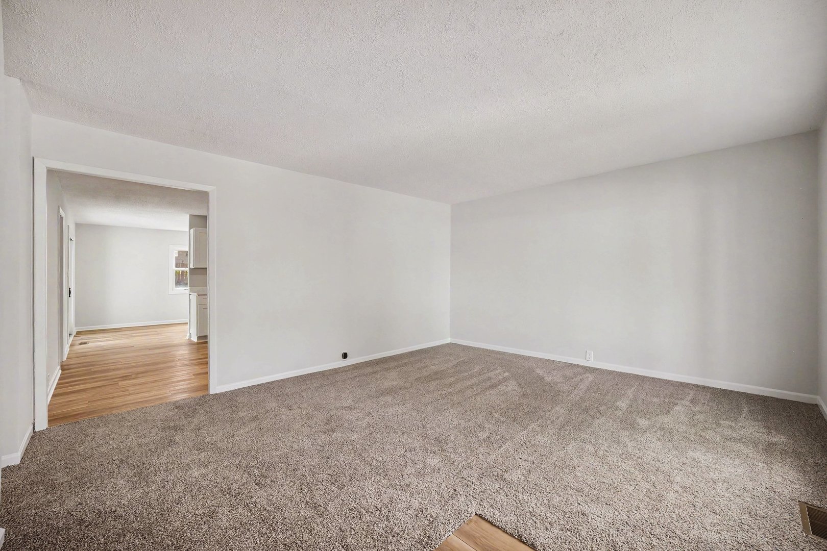 338 Hickory Avenue Romeoville, IL 60446 - Photo 2 of 14