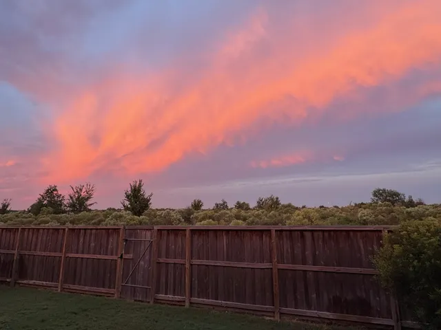 a view of a yard with a lake view