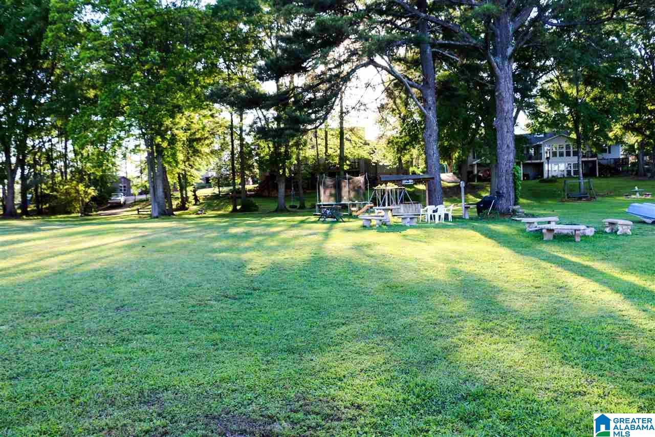 203 Blue Spring Trail Cropwell, AL 35054 - Photo 44 of 50