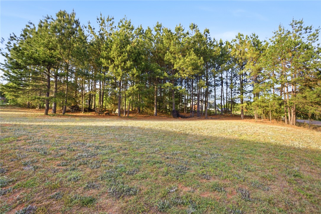 400 Green View Court Westminster, SC 29693 - Photo 31 of 33 A tranquil expanse of green, bordered by verdant trees, offers a blank canvas for your aspirations.