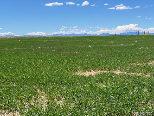 19 Tbd County Road Fort Lupton, CO 80621 - Photo 1 of 15 a view of a lake in the garden