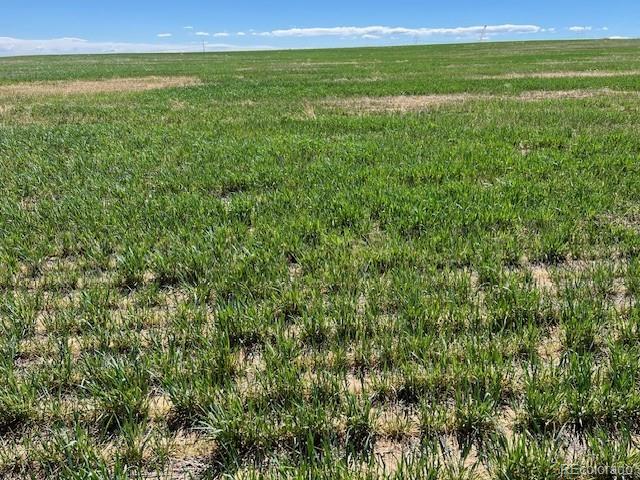 19 Tbd County Road Fort Lupton, CO 80621 - Photo 15 of 15 a view of a field with an outdoor space