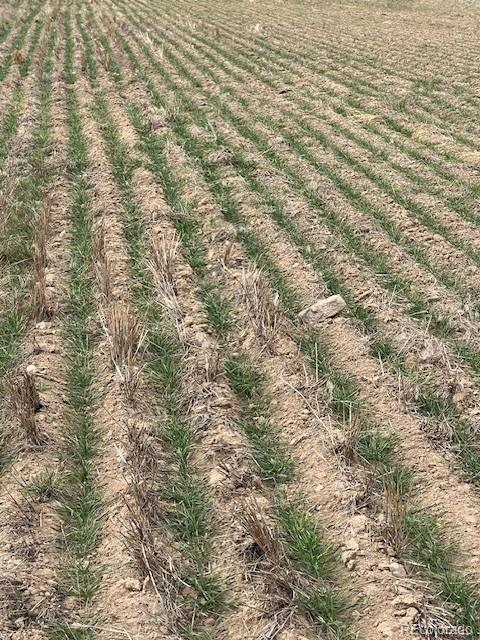 19 Tbd County Road Fort Lupton, CO 80621 - Photo 4 of 7