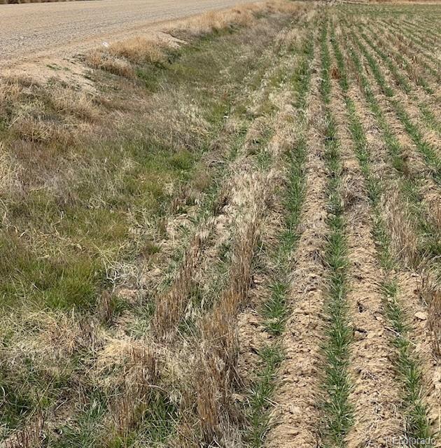 19 Tbd County Road Fort Lupton, CO 80621 - Photo 7 of 7