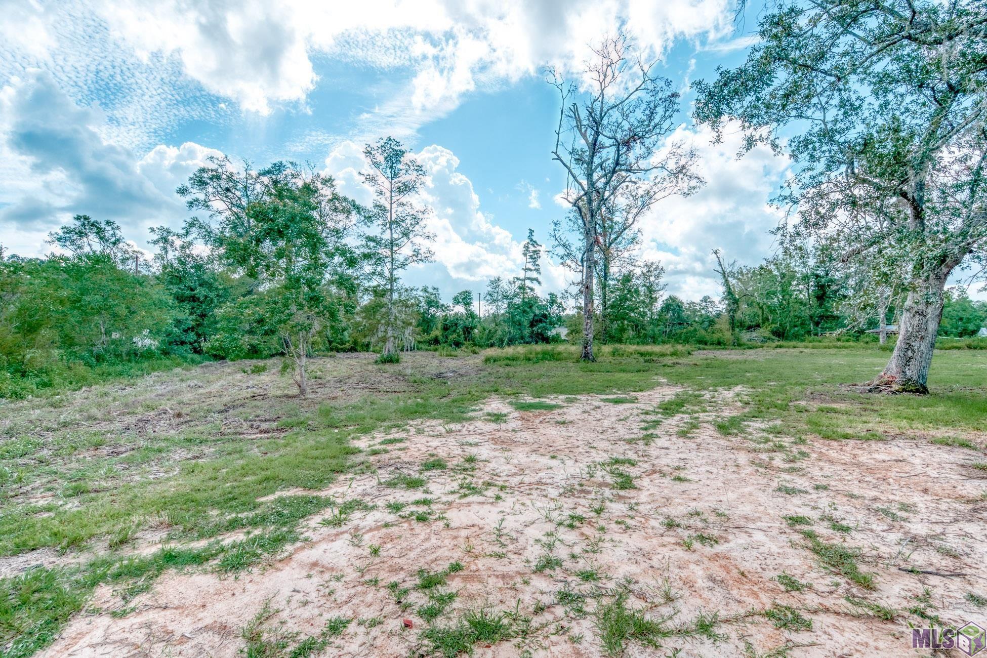 23168 Hutchinson Road Springfield, LA 70462 - Photo 4 of 24