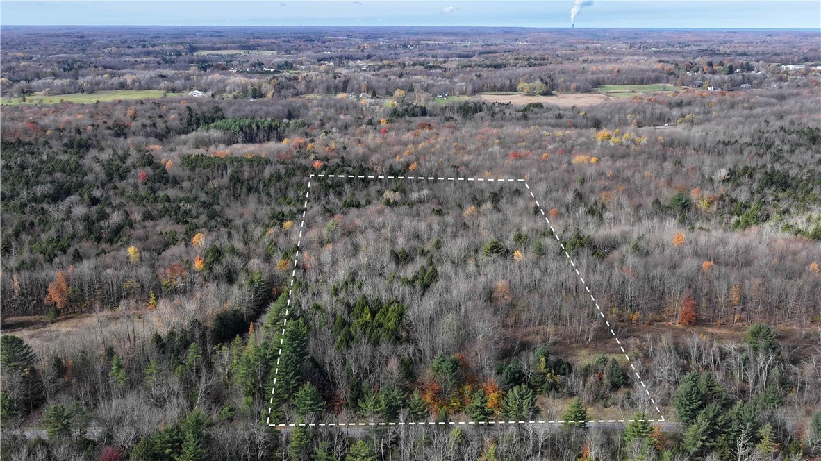 239 White Road Parish, NY 13131 - Photo 3 of 17