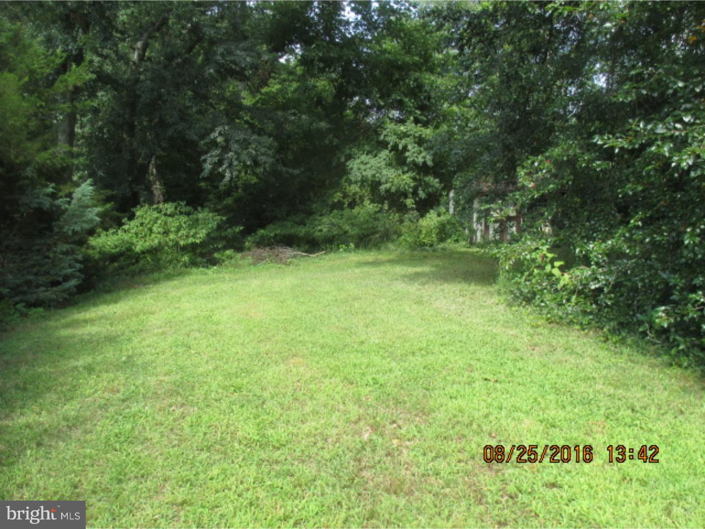 505 Brooke Avenue Magnolia, NJ 08049 - Photo 4 of 16