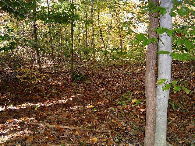 Bs 1 Upper Oak Ridge Road Morgantown, IN 46160 - Photo 3 of 3 Gallery Image 3