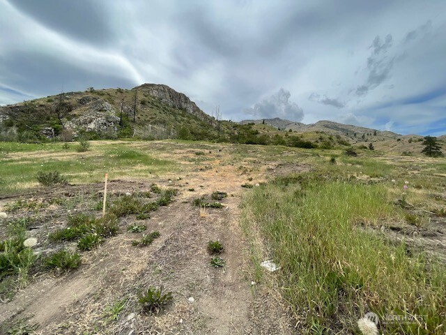 0 Lot 4 Black Canyon Road Carlton, WA 98814 - Photo 12 of 13 a view of lake with mountain
