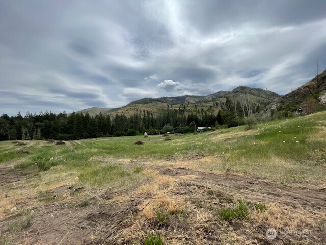 0 Lot 4 Black Canyon Road Carlton, WA 98814 - Photo 13 of 13 a view of an outdoor space and a yard